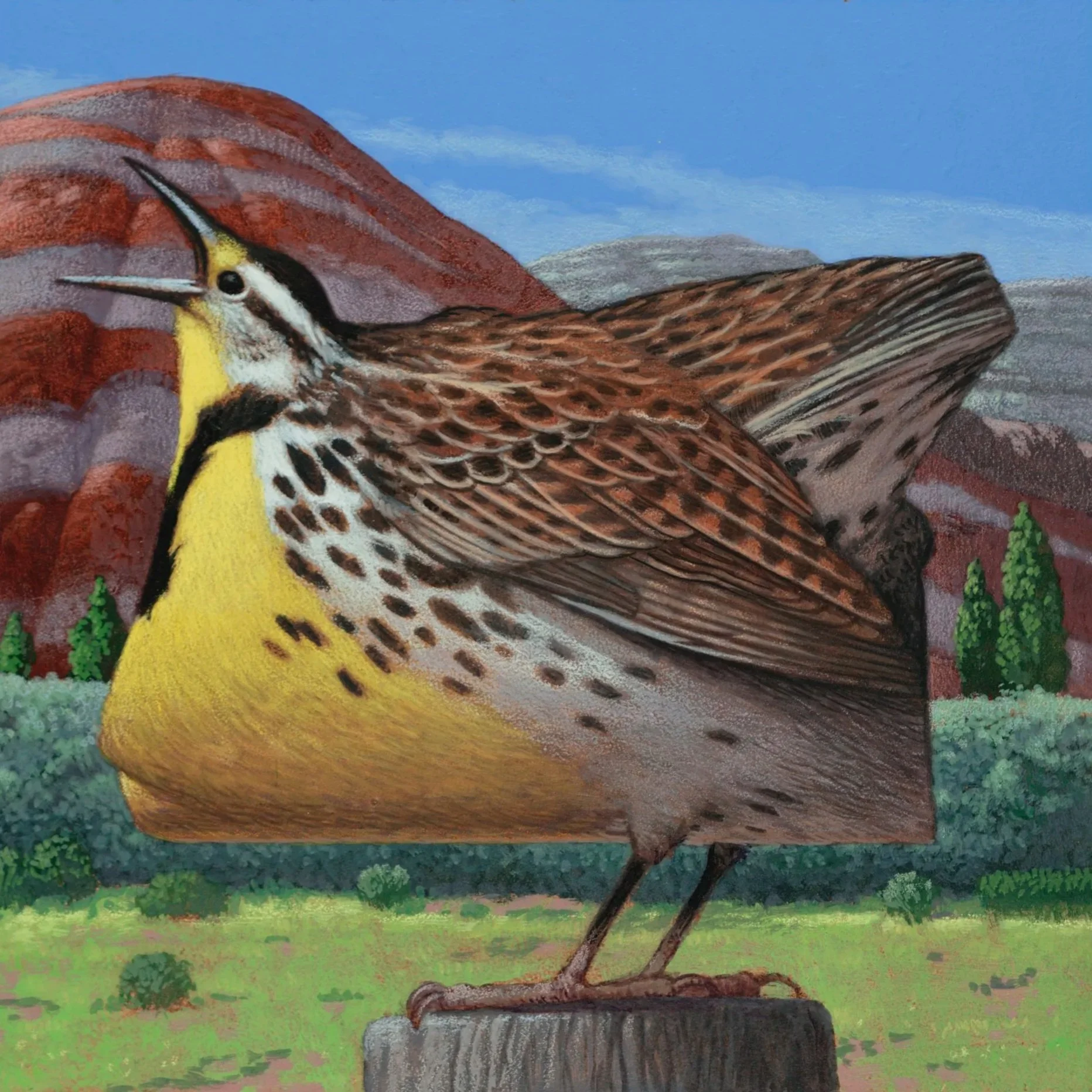 Oregon+Meadowlark+bb.jpg