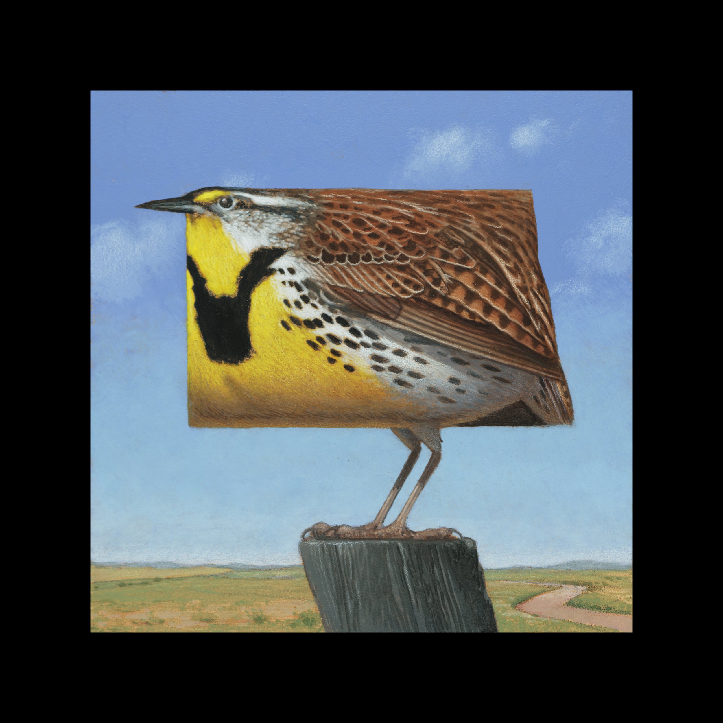 North Dakota Western Meadowlark