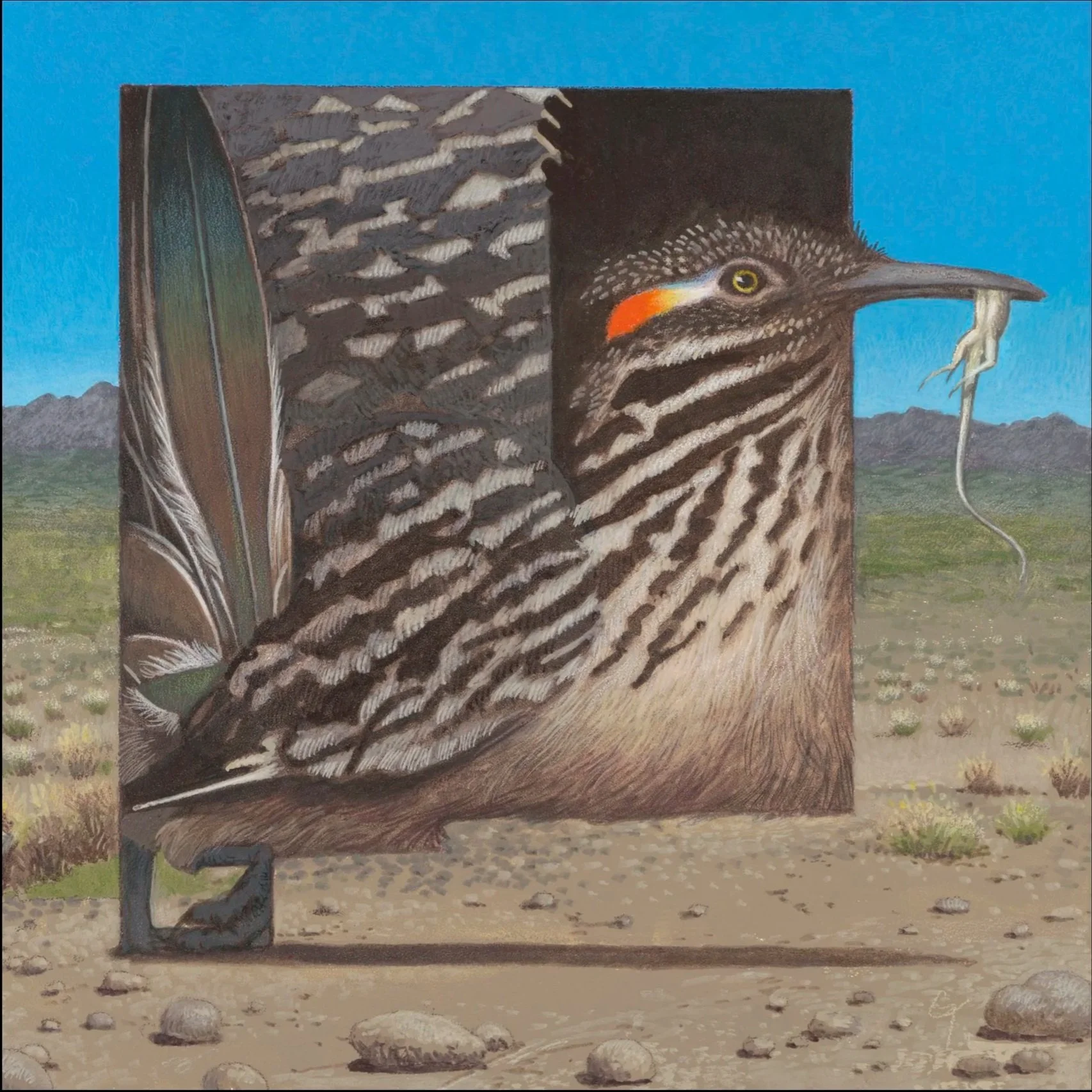 NM-Roadrunner_12x12+blackborder.jpg