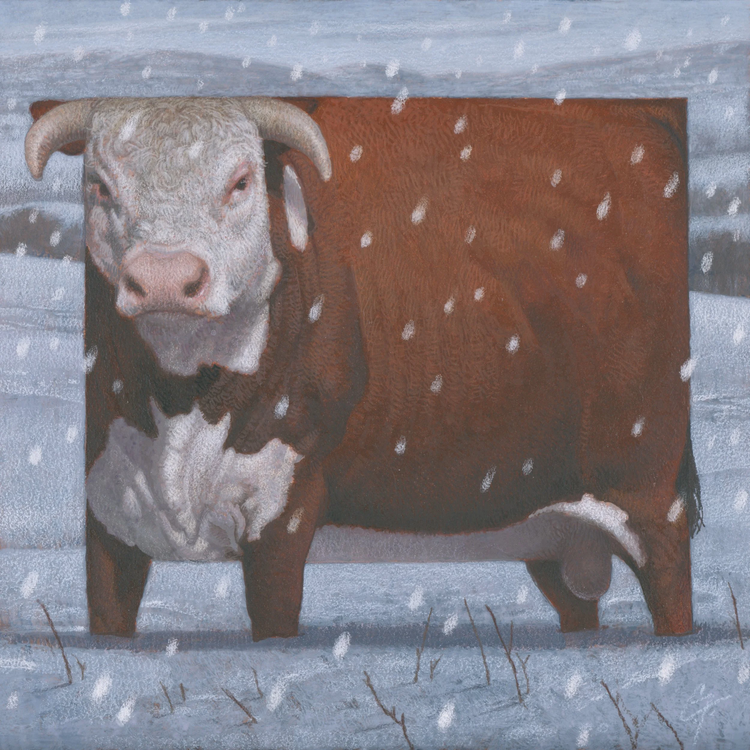 Wyoming Hereford 12 x12.jpg