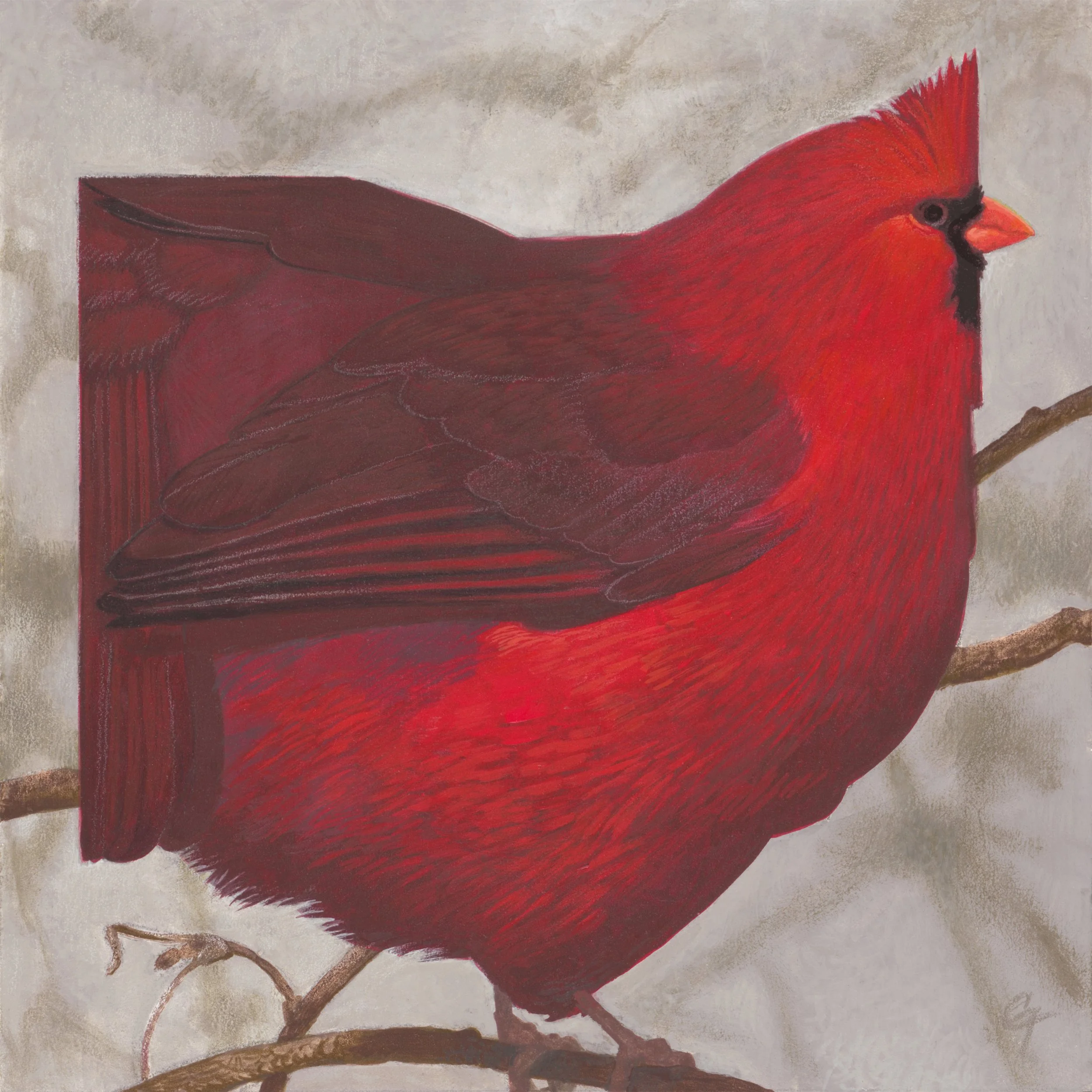 OHIO Winter Cardinal JPEG.jpg