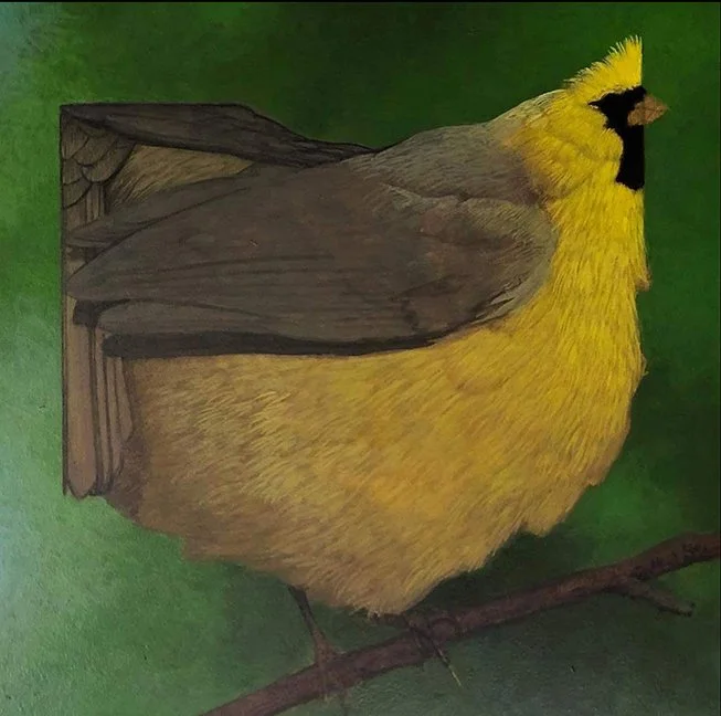 Ohio Yellow Cardinal.jpg