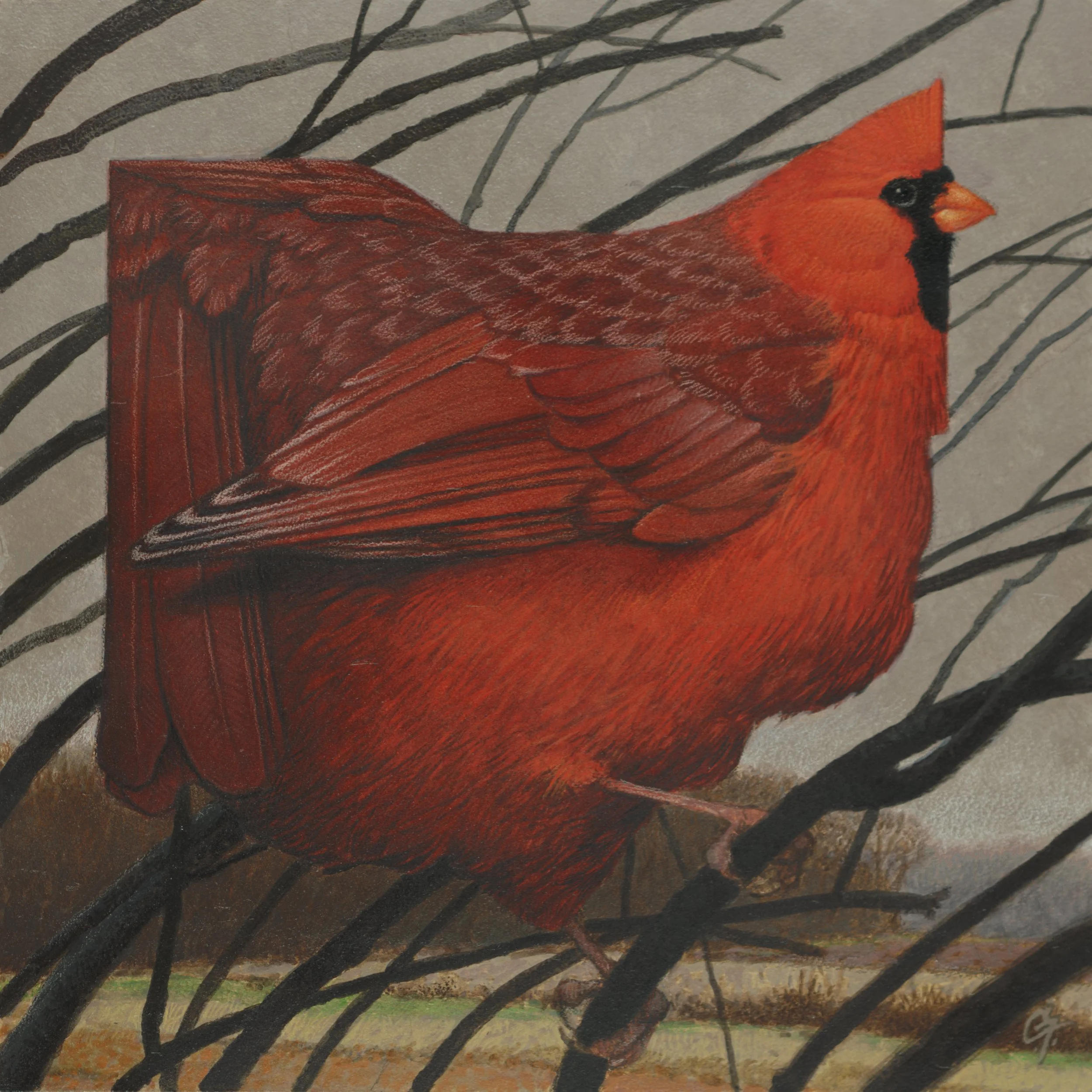 OHIO Fall Cardinal JPEG.jpg