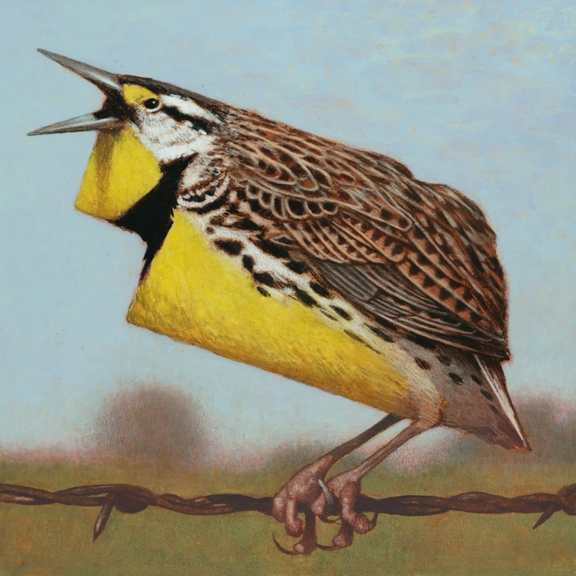 Nebraska+Meadowlark+blackborder.jpg