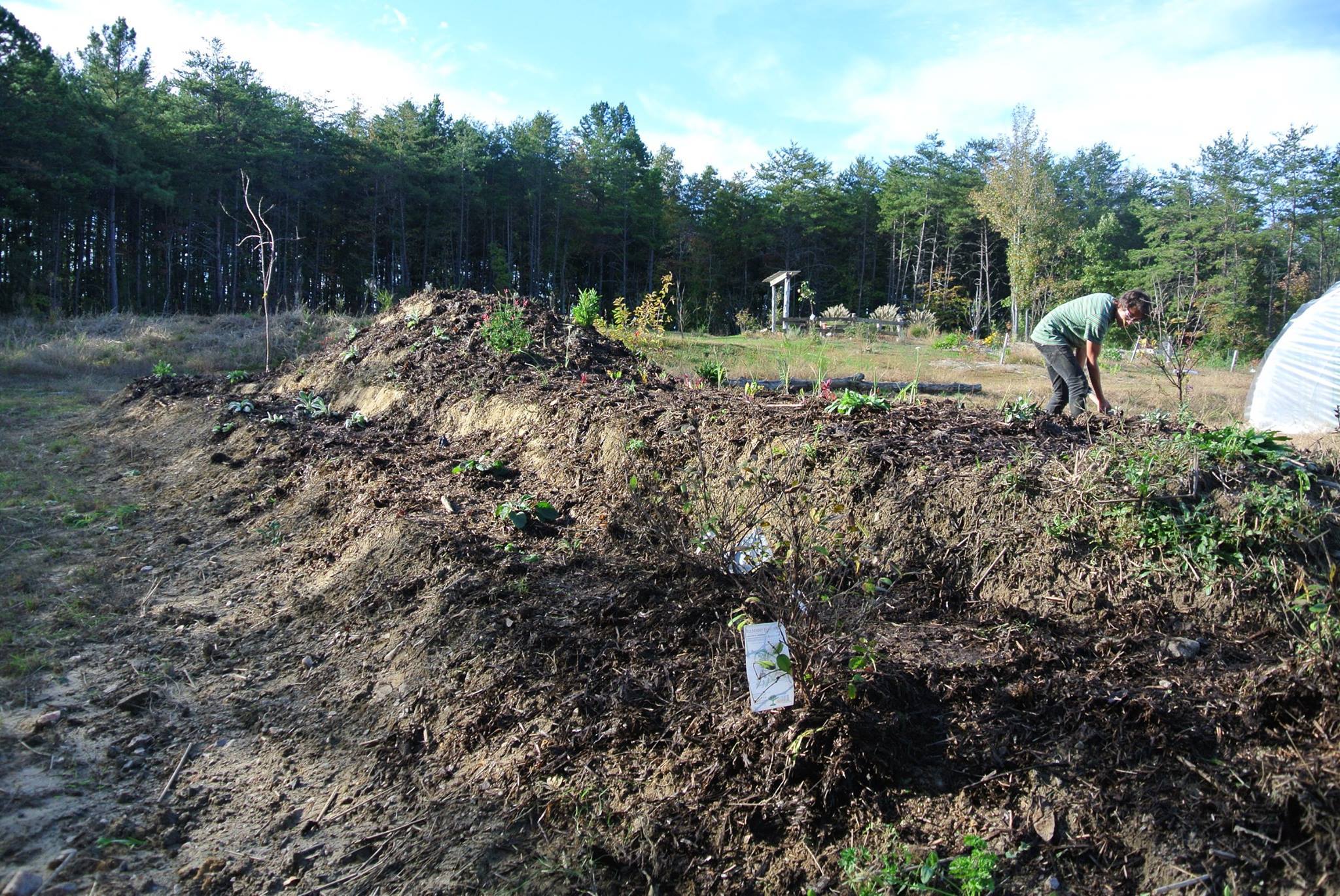 Josh is working on the northern part of this garden. The southern, shady terraces are on the left.