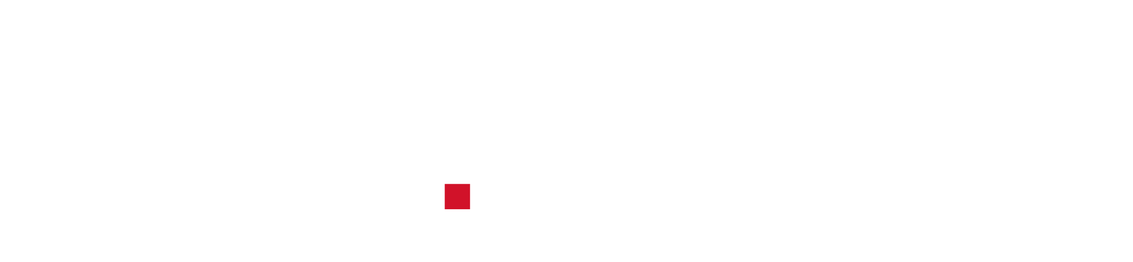 02_Dent_KPI_Logo_white_full.png