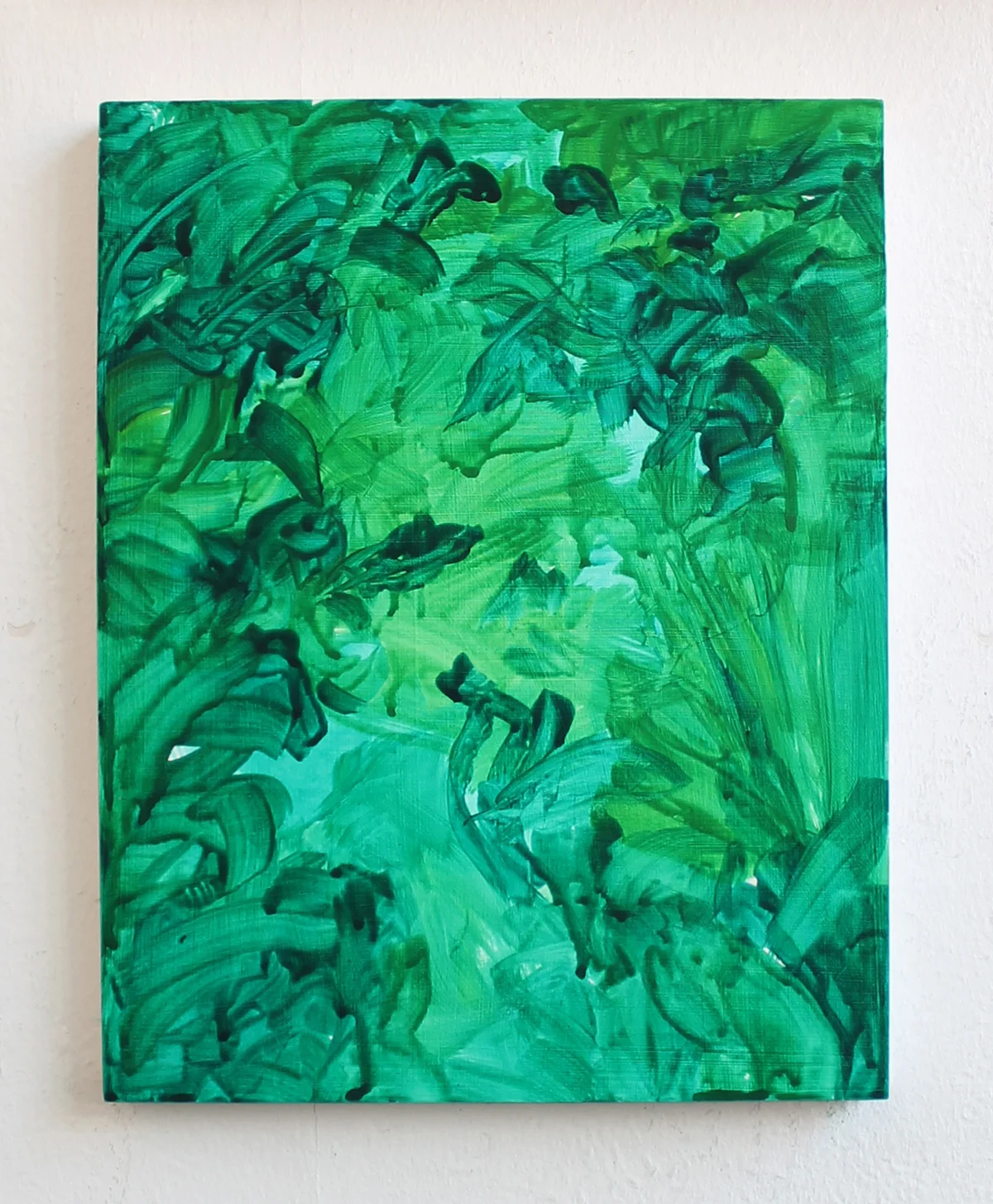 Vegetation (Uganda Wildlife Authority, Buhoma), 2017