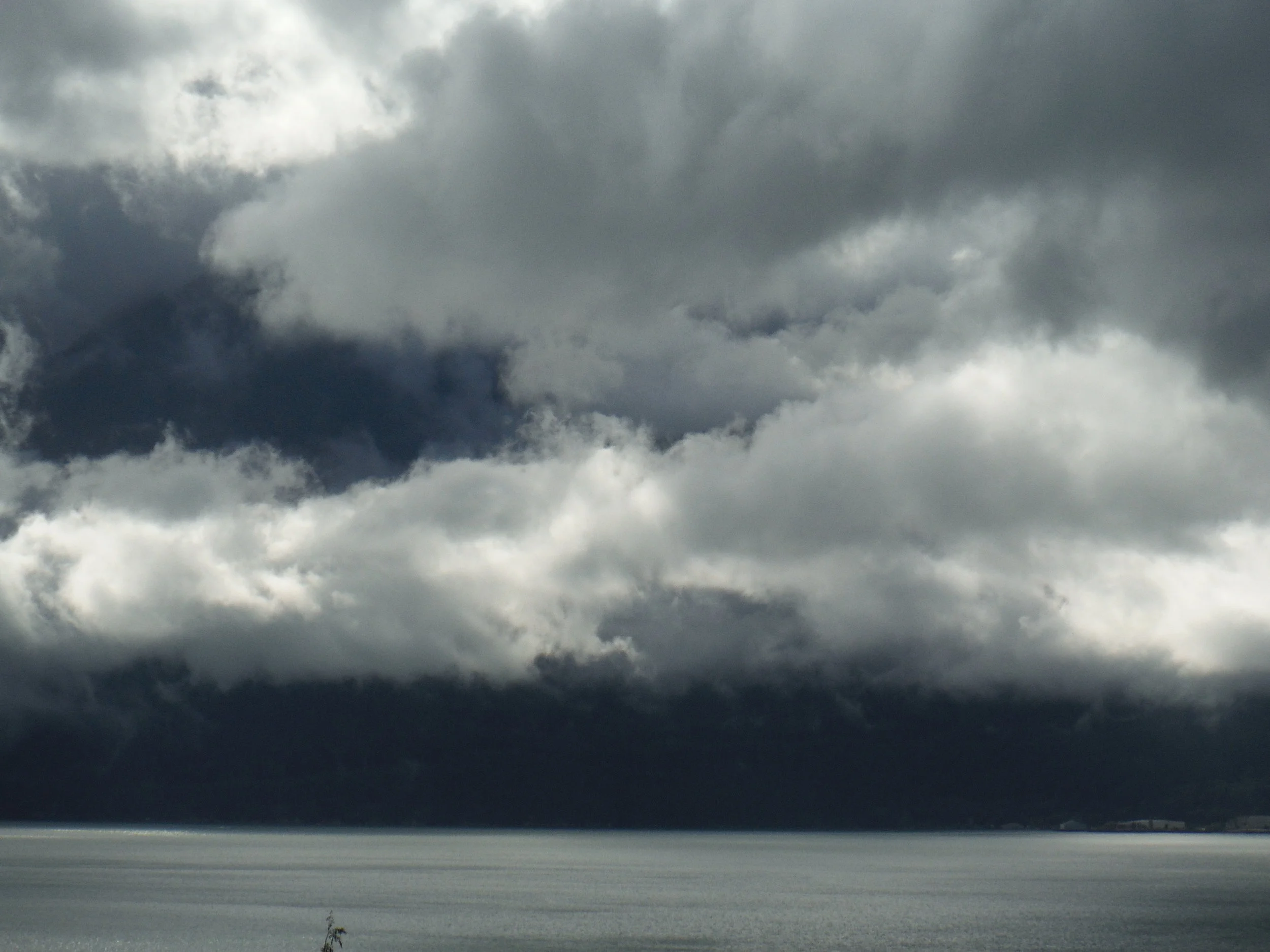 DSCF0538.jpg