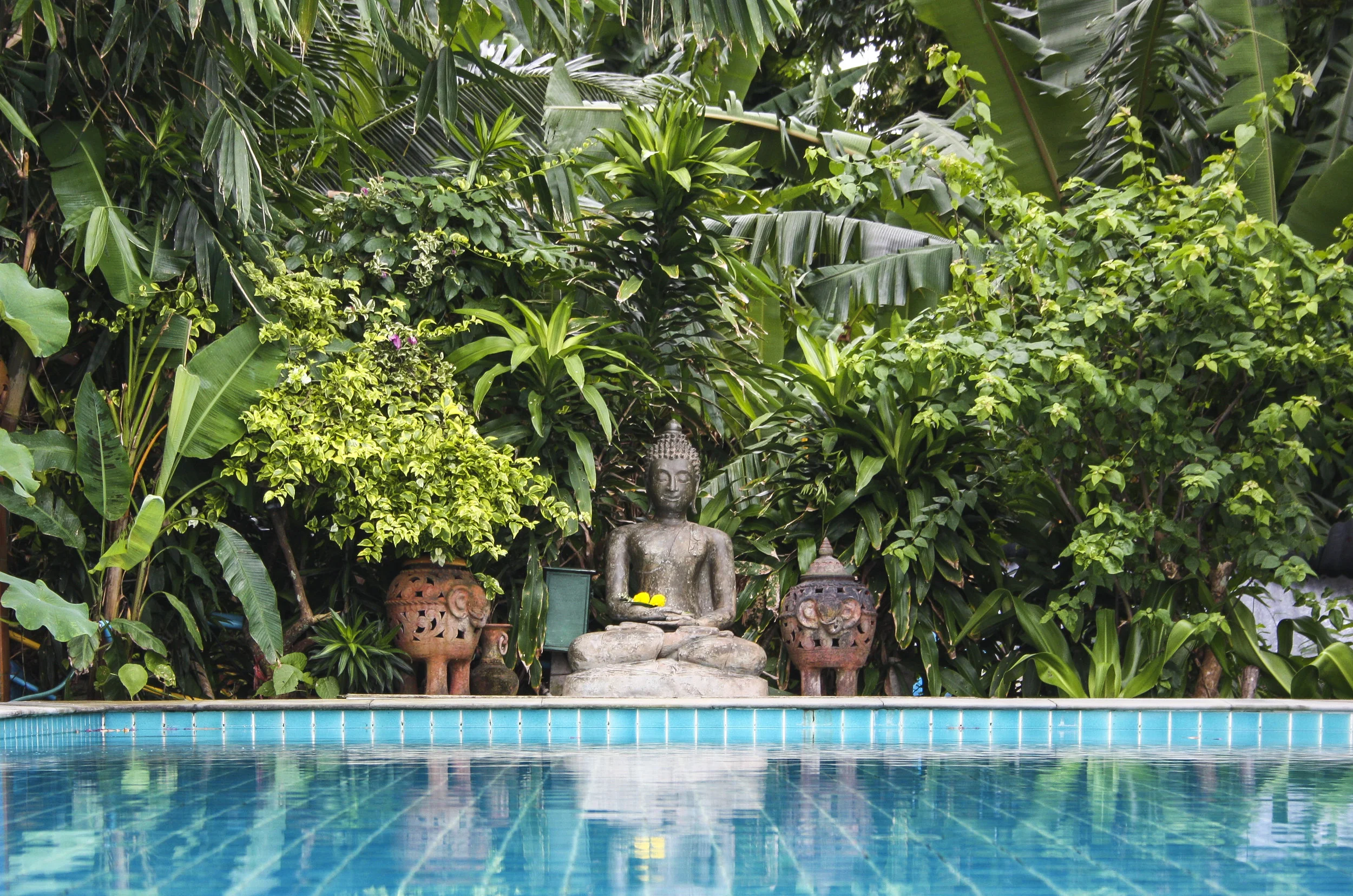 Accommodations Kata Hot Yoga Kata Beach Phuket Thailand