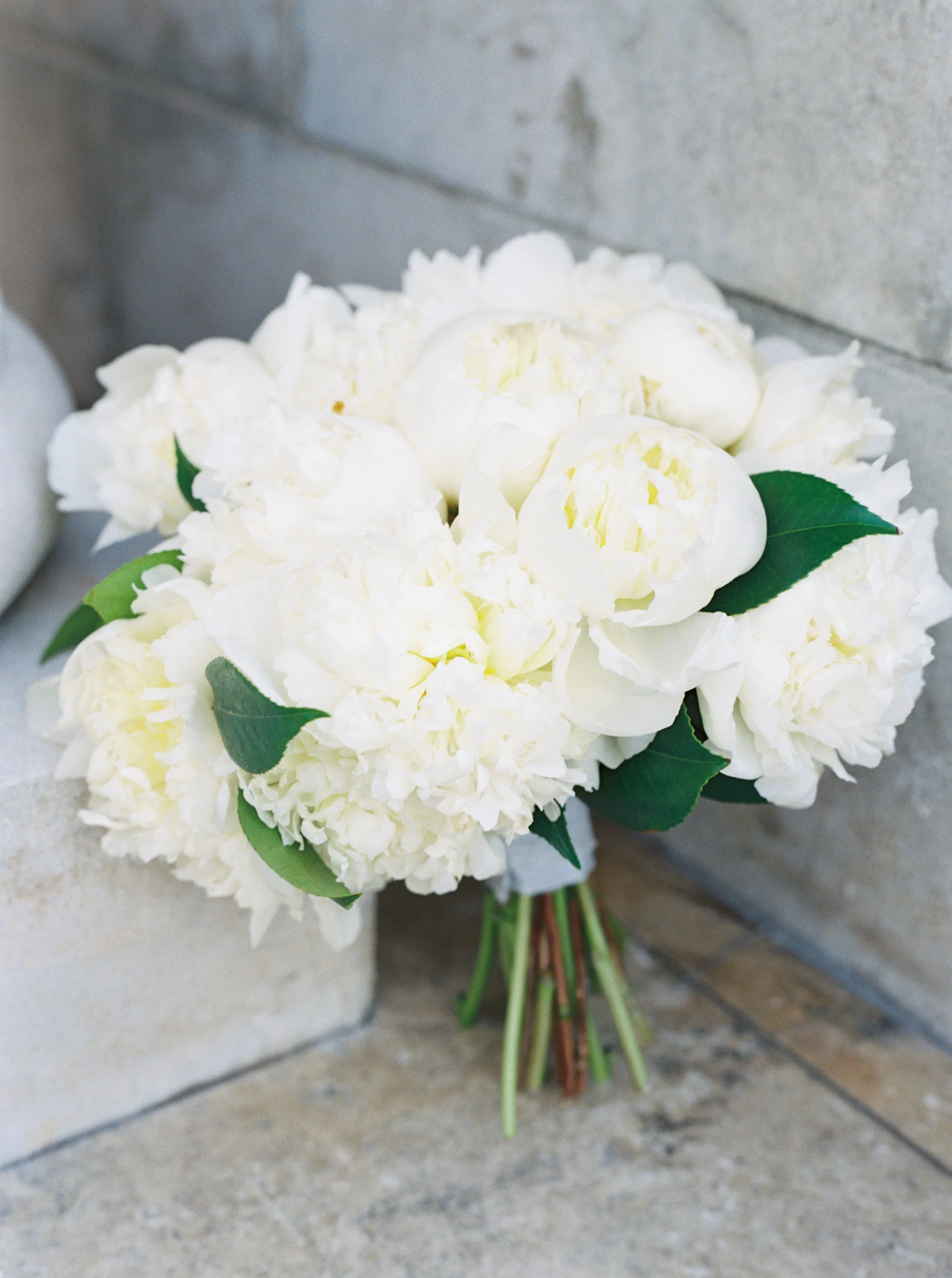 jenna mcelroy photography-233.jpg