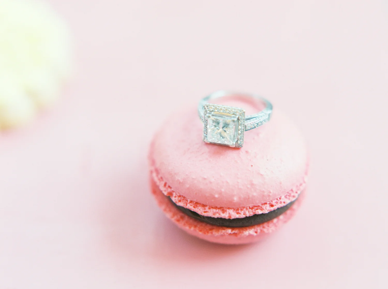 jenna mcelroy photography-18.jpg