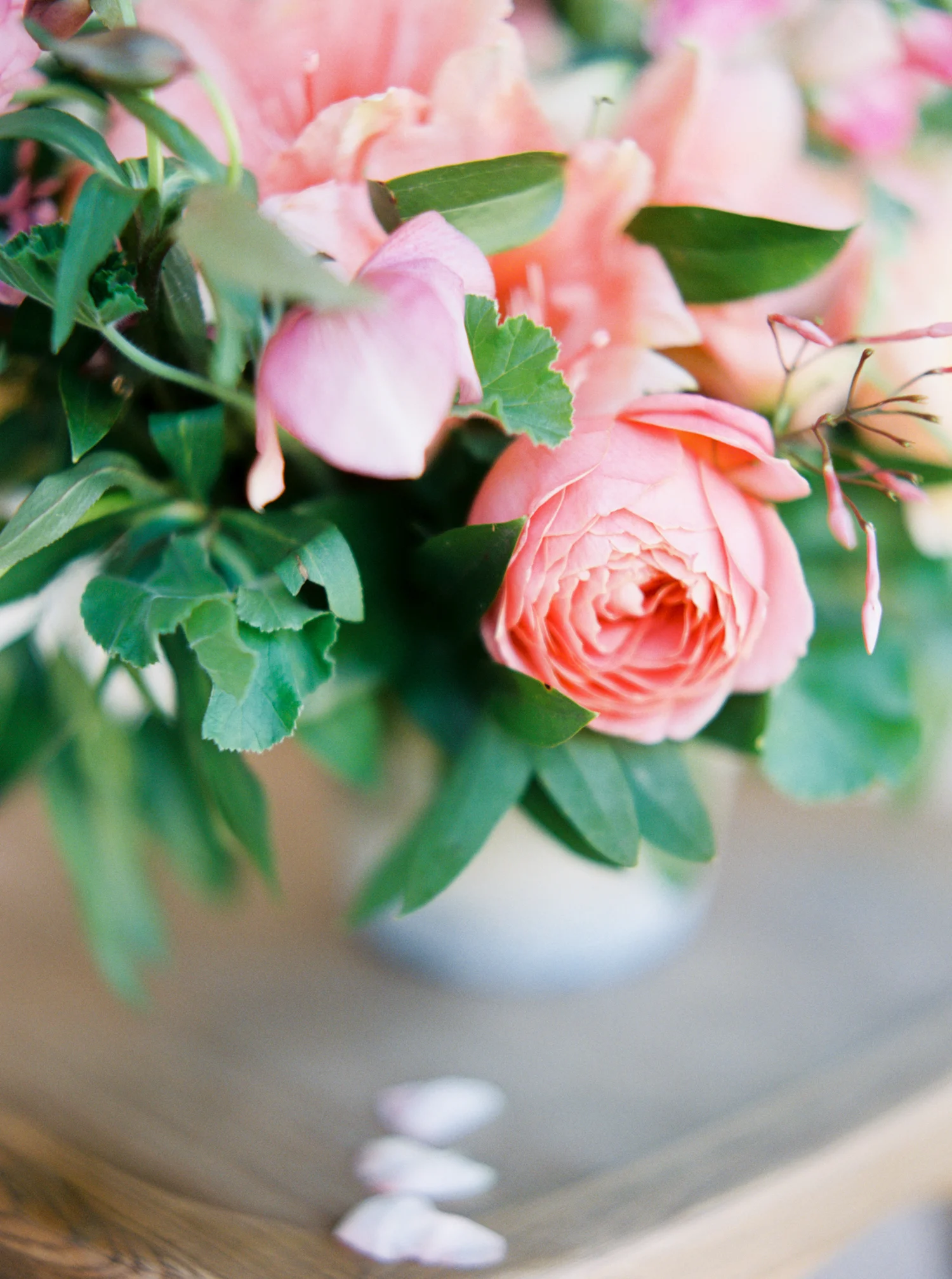 jenna mcelroy photography-29.jpg