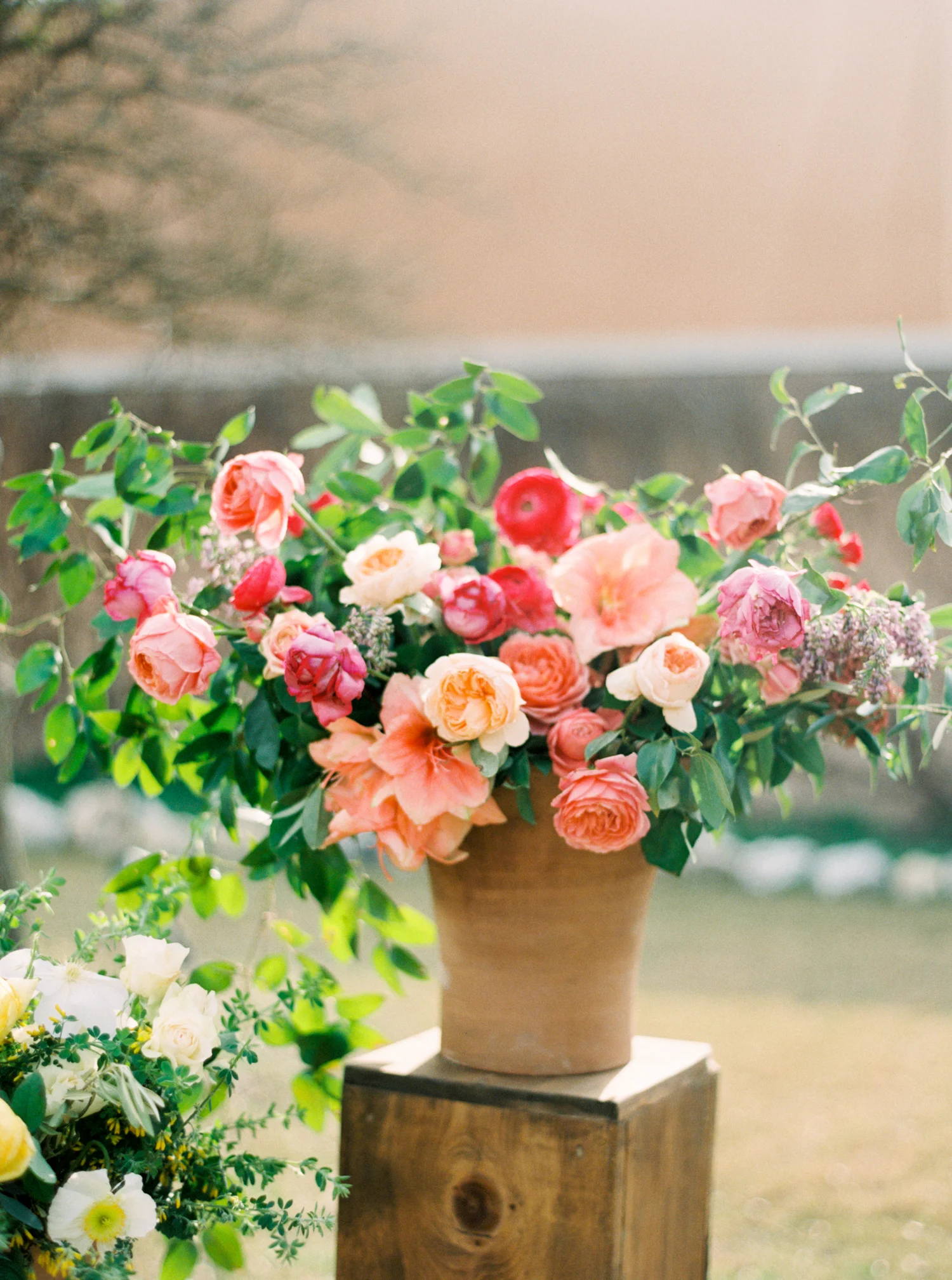 jenna mcelroy photography-40.jpg