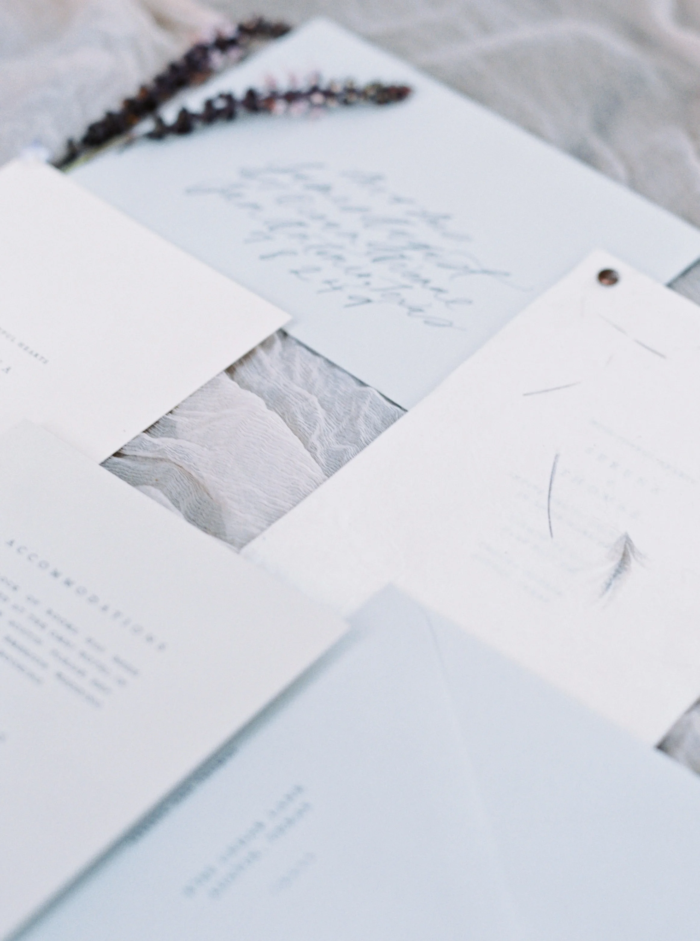 jenna mcelroy photography -66.jpg