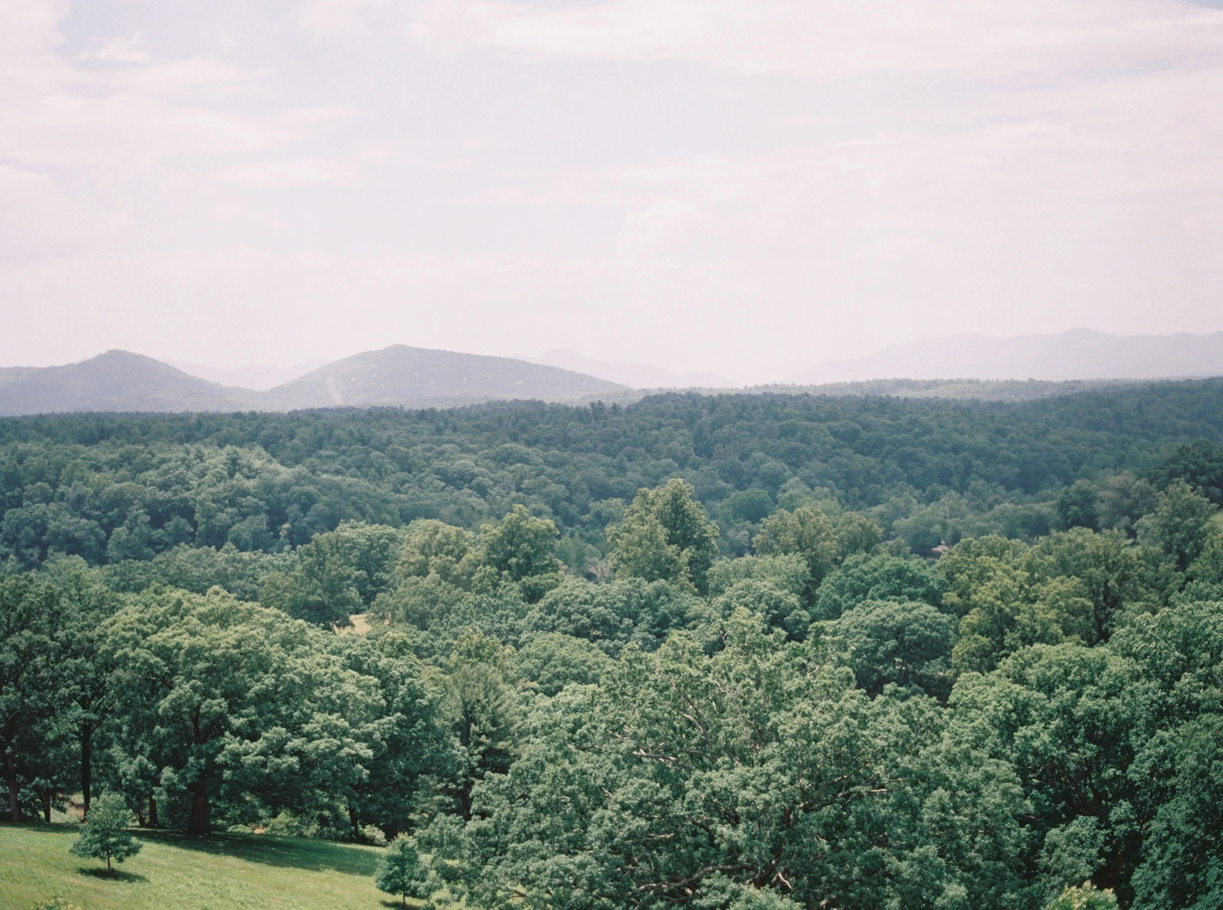 jenna mcelroy photography-4.jpg