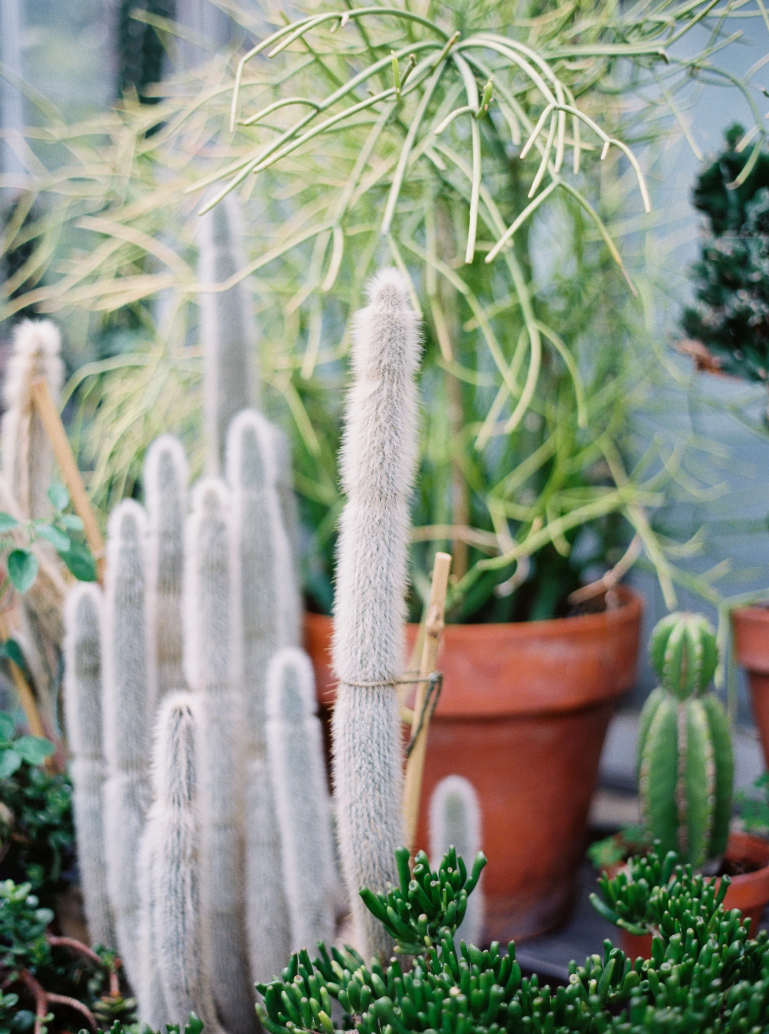 jenna mcelroy photography-8.jpg