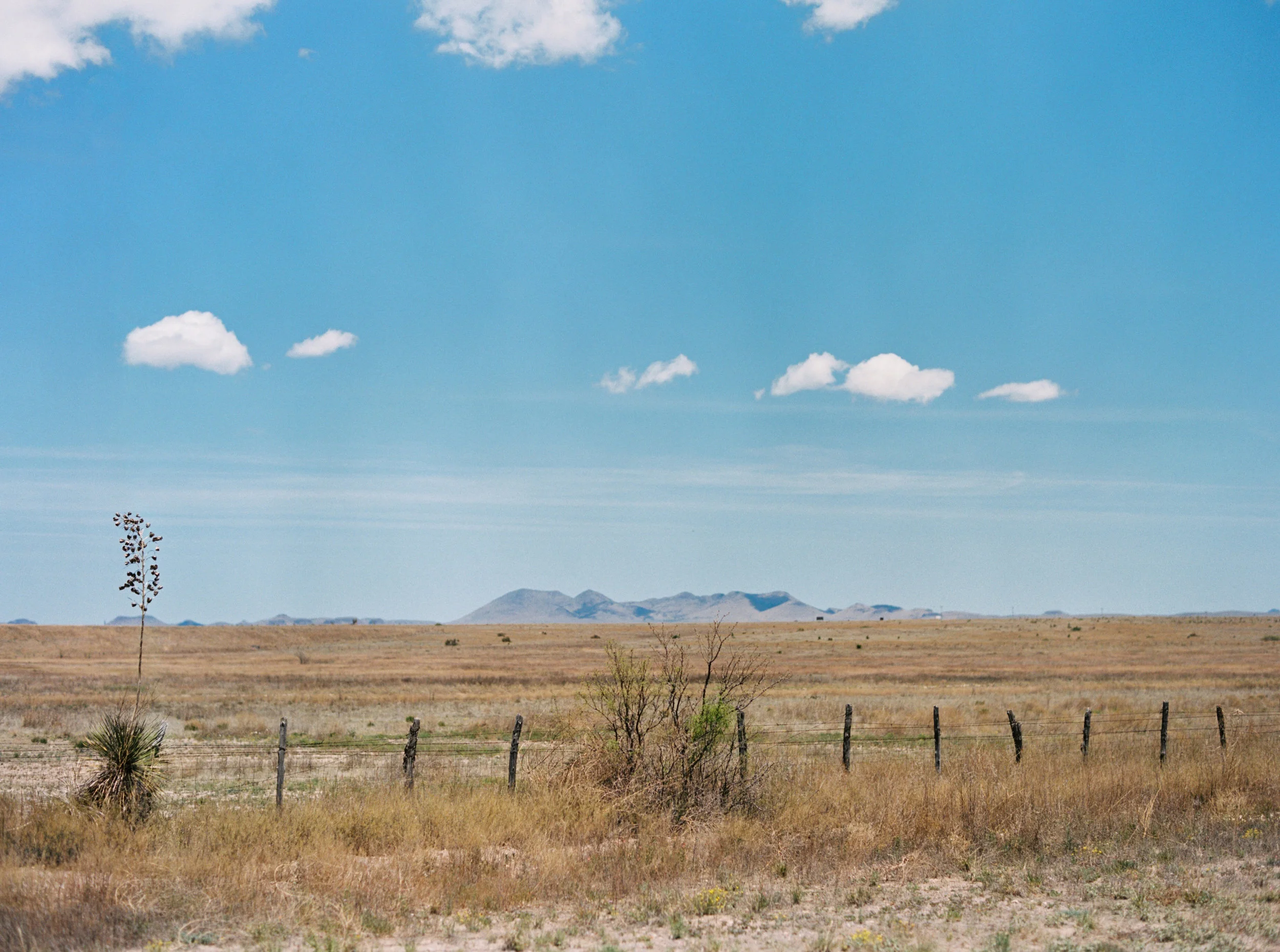 jenna mcelroy photography-37.jpg