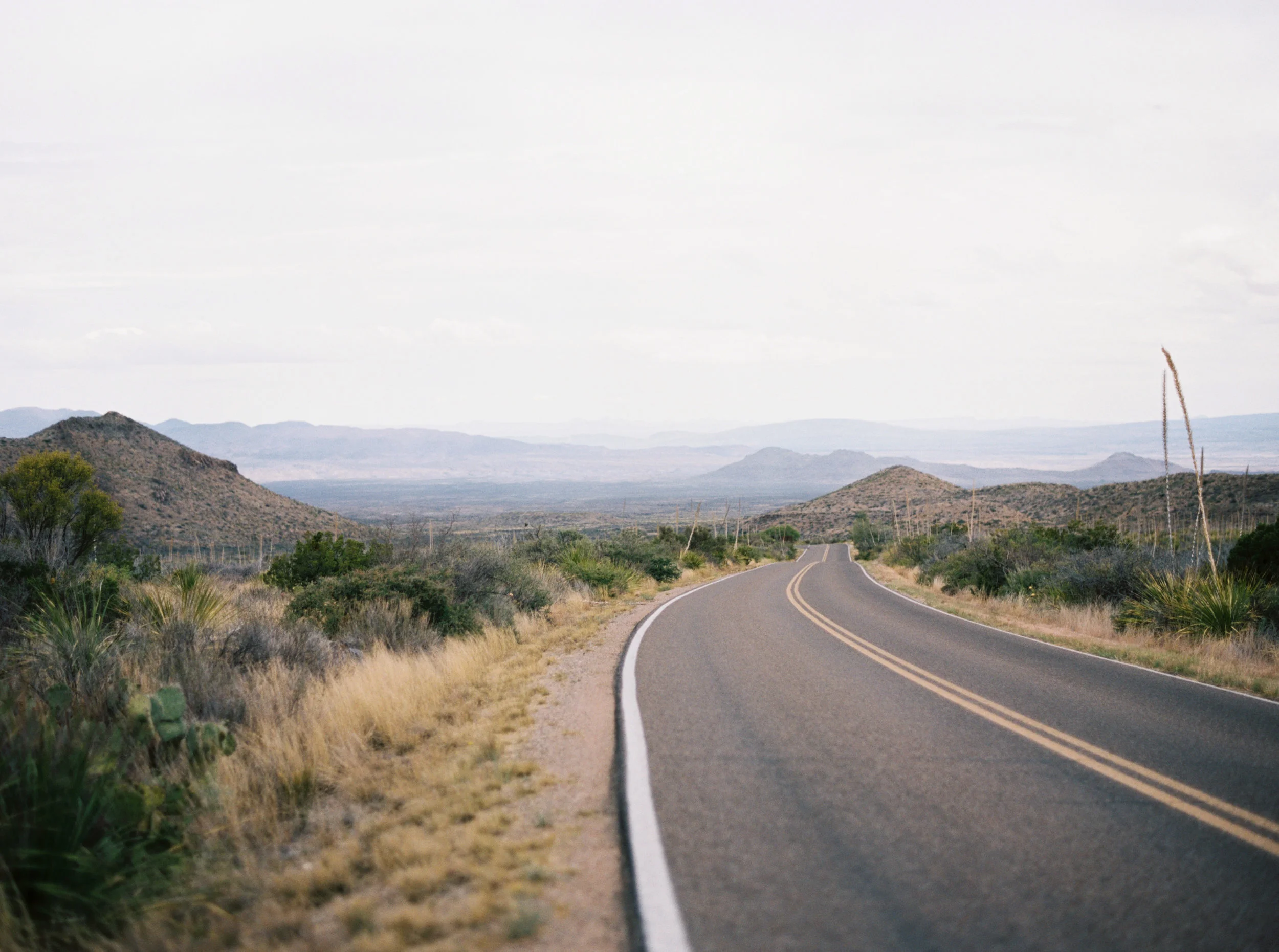 jenna mcelroy photography-49.jpg