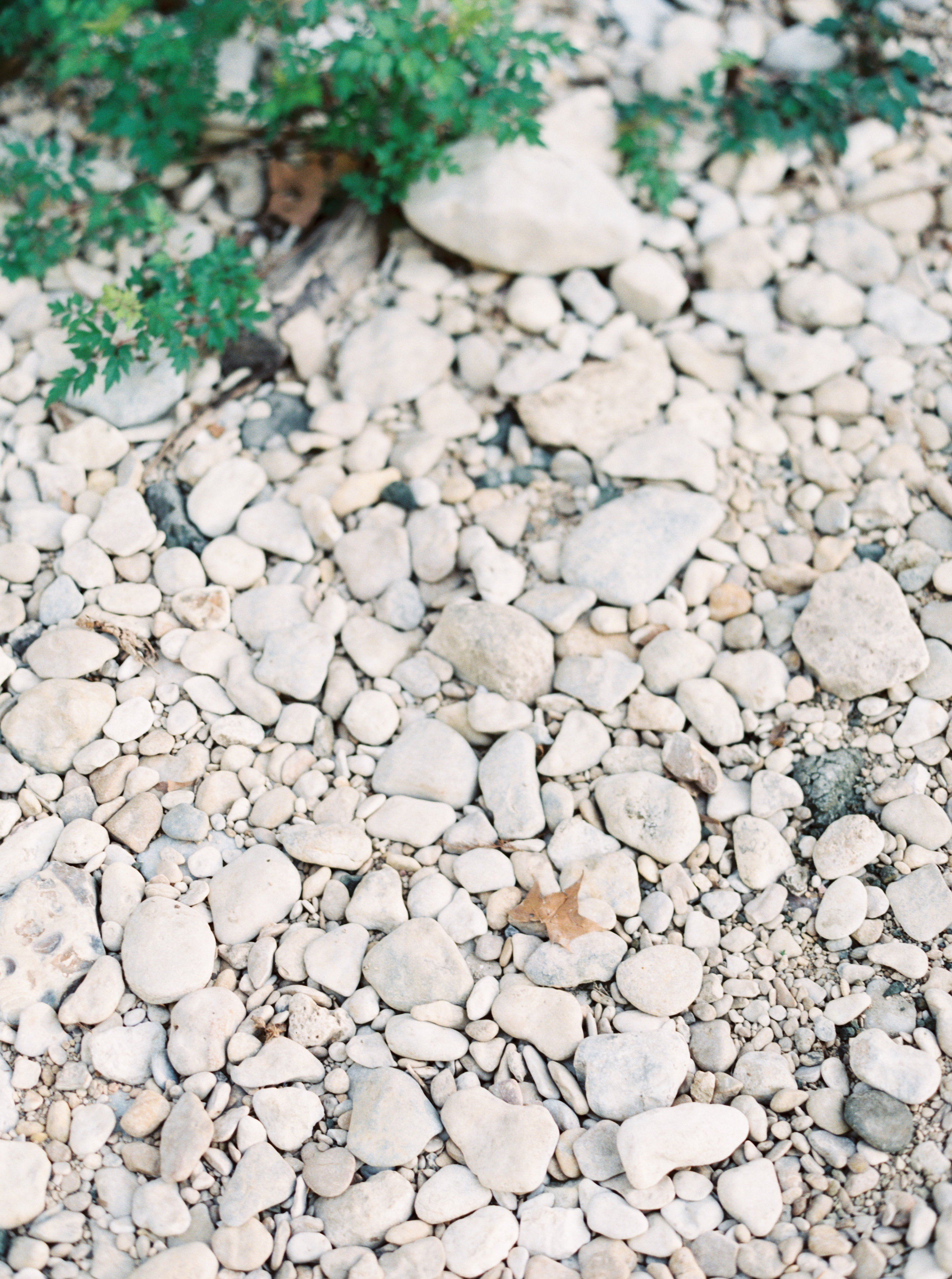 jenna mcelroy photography-25.jpg
