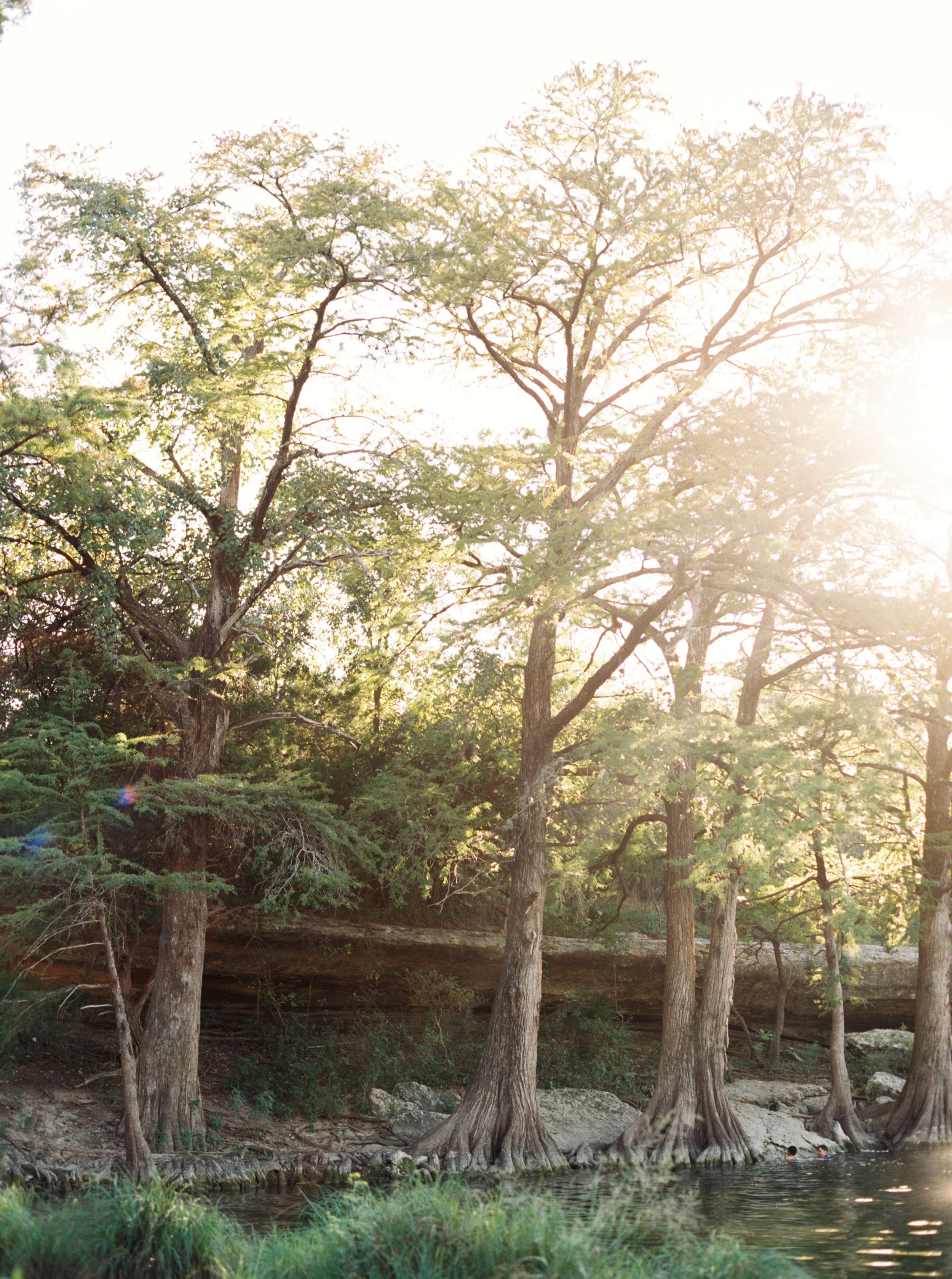 jenna mcelroy photography-155.jpg