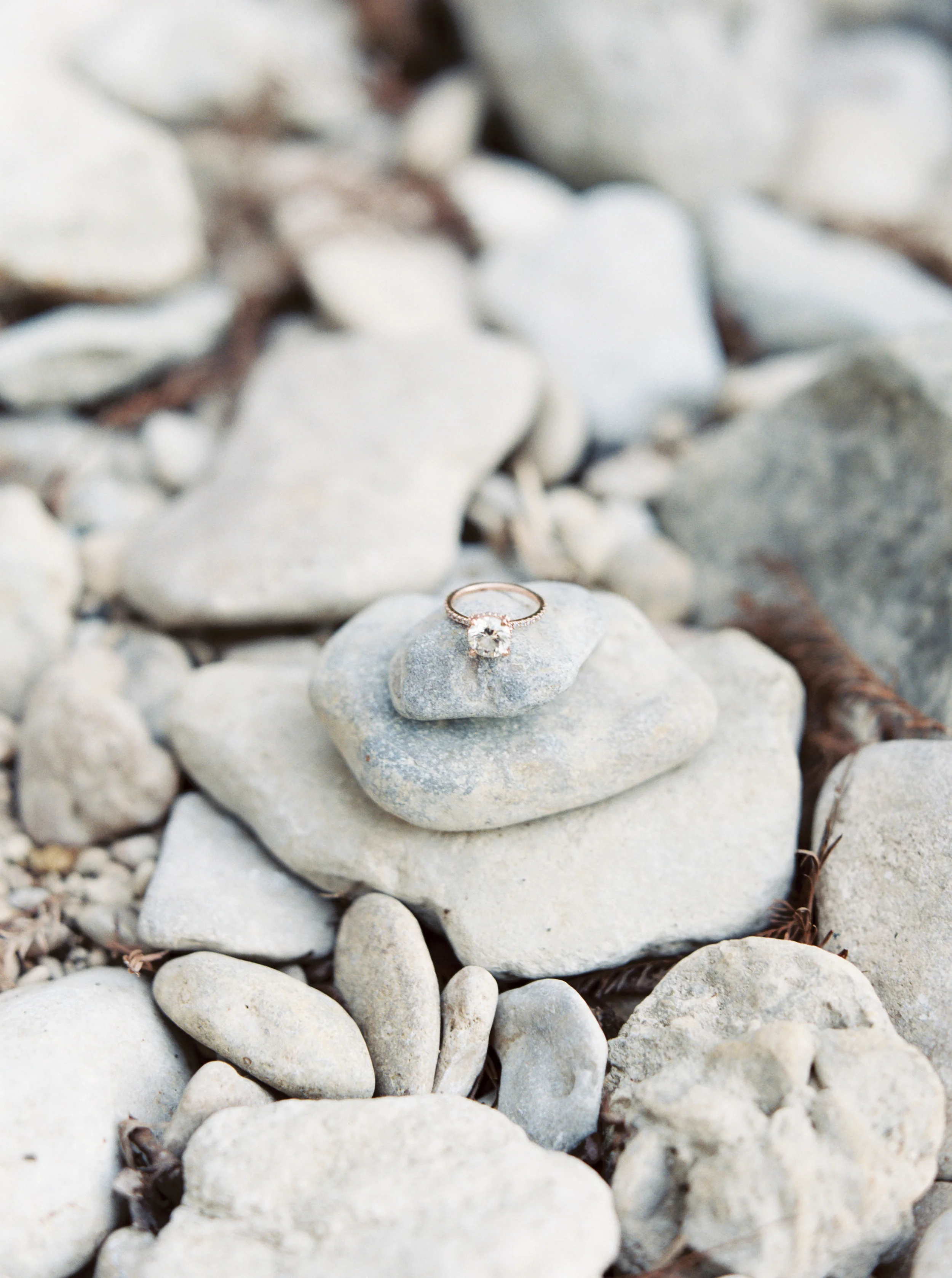 jenna mcelroy photography-181.jpg