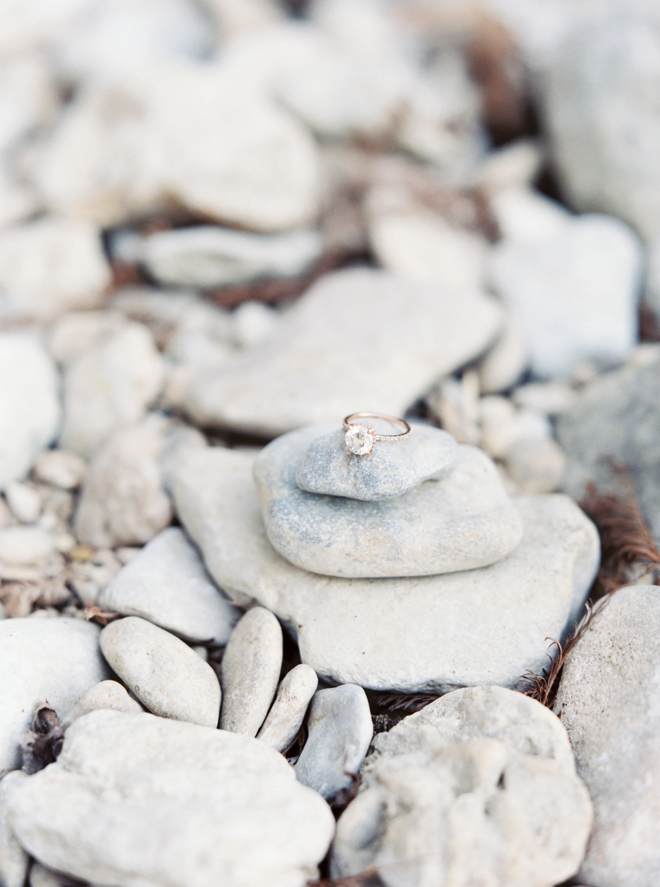 jenna mcelroy photography-182.jpg