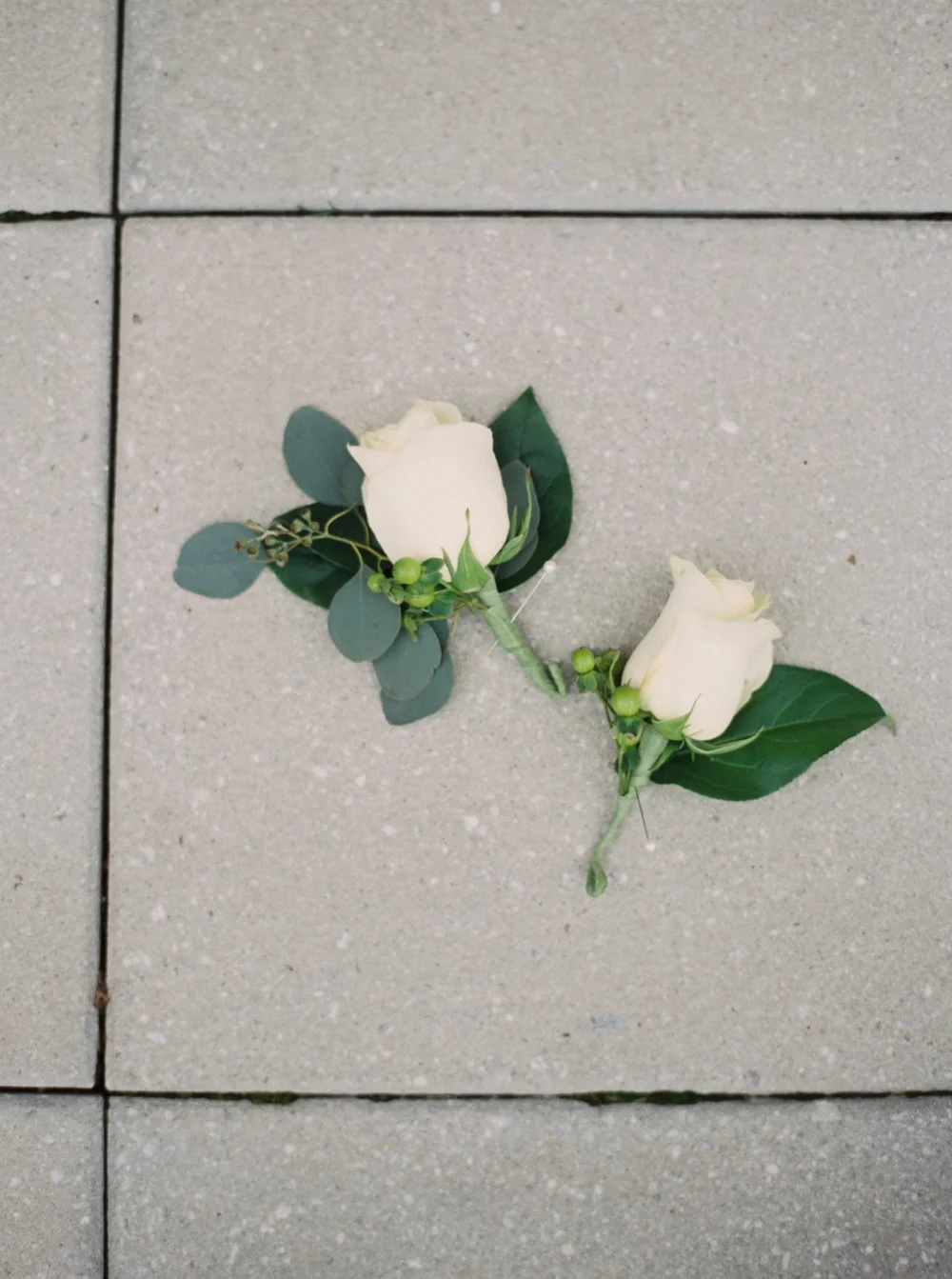 8c0d6-img.jpg