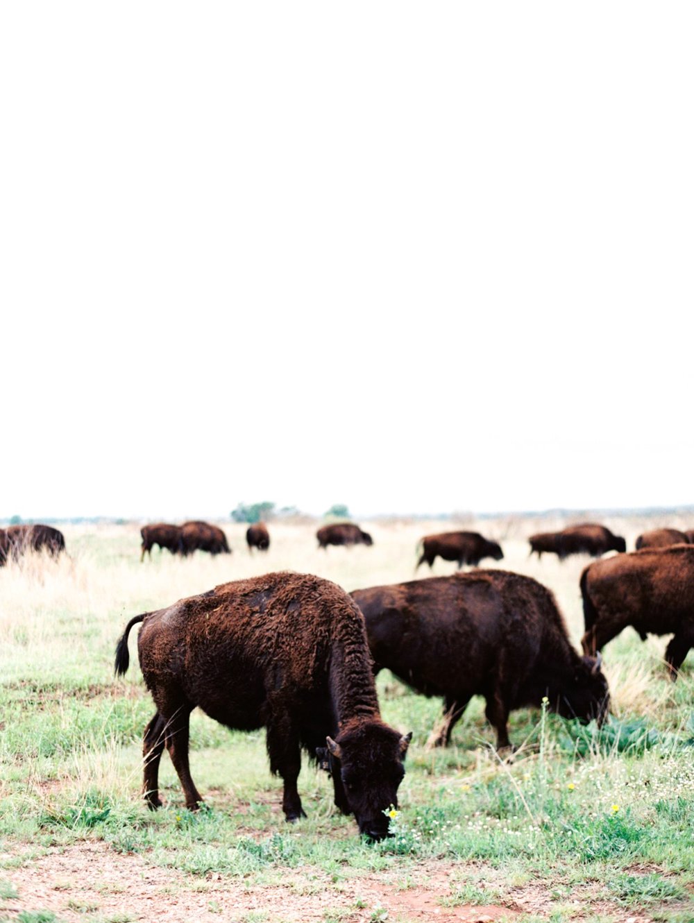 Amarillo Canyon Romance Wedding Inspiration