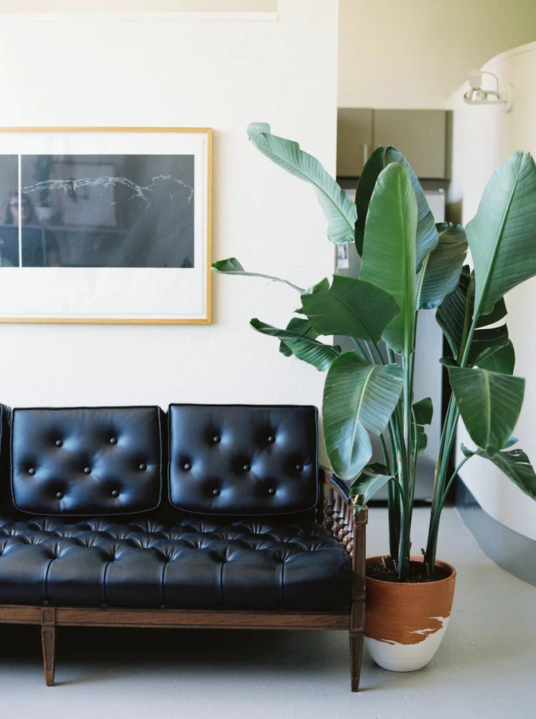 Artisanal Quality Brand with Guten Co