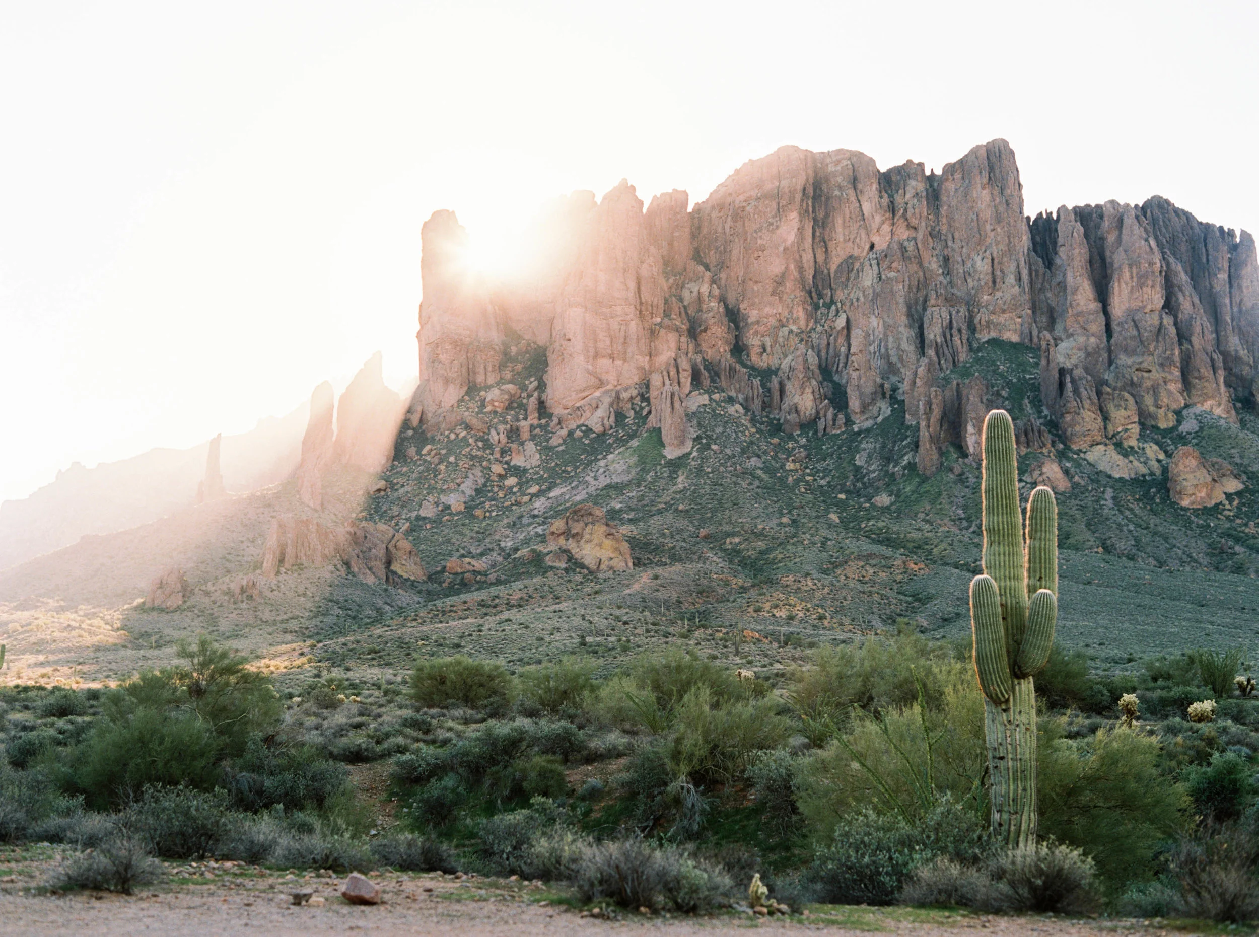 romantic scottsdale wedding engagements at the royal palms-9.jpg
