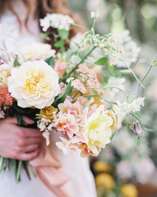 To me, flowers are happiness.  #stefanogabbana
🌾
Editorial styled shoots have helped me grow my business in so many incredible ways. They forced me to grow and connect (and become friends with AMAZING artists and photographers from all over!!) and c