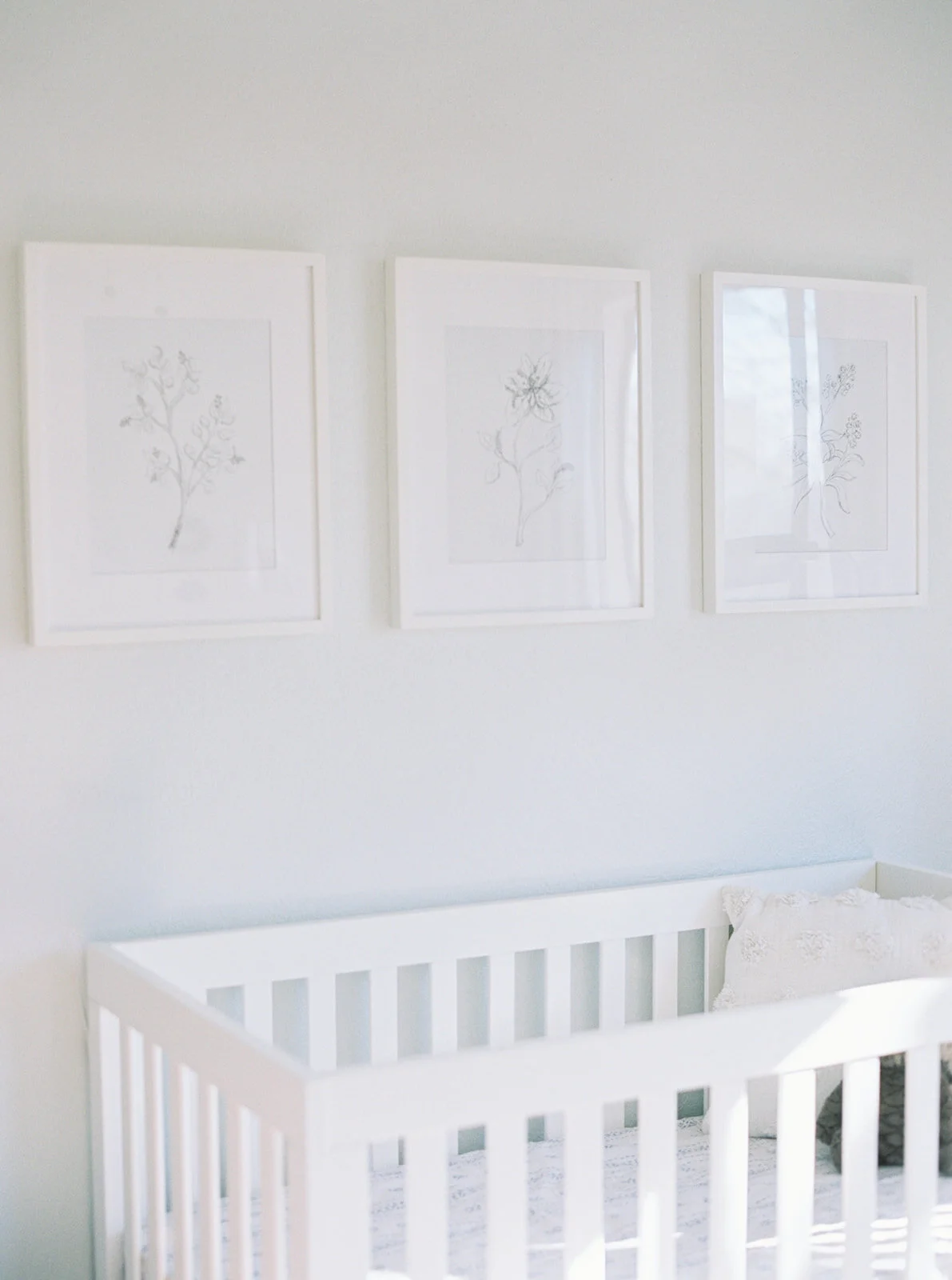 austin newborn photographer