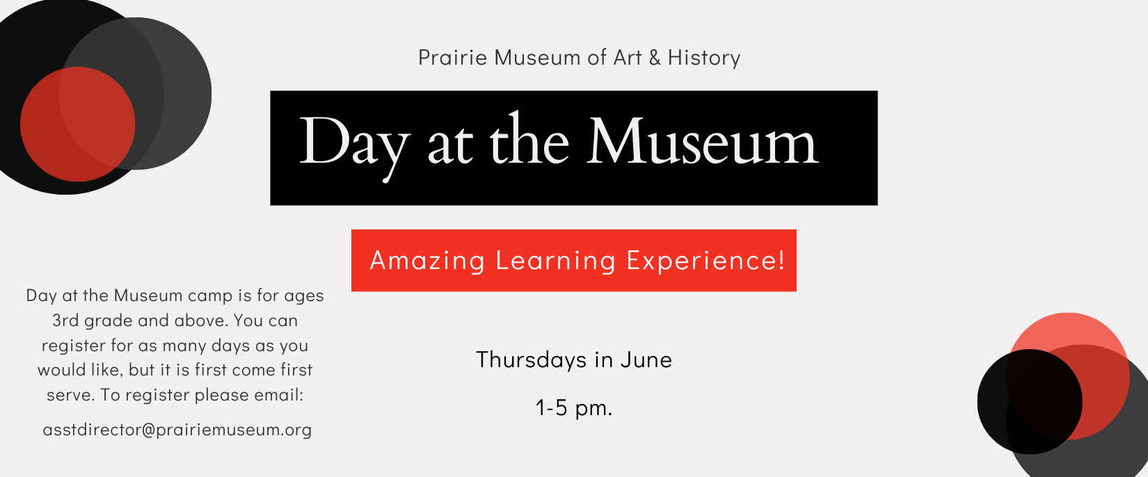 Day at the Museum Banner.png