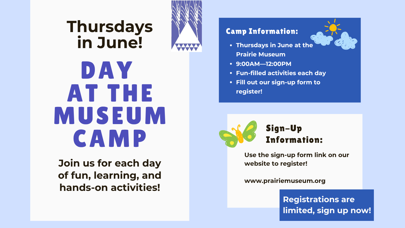 2026 Day At The Museum Camp (Banner).png
