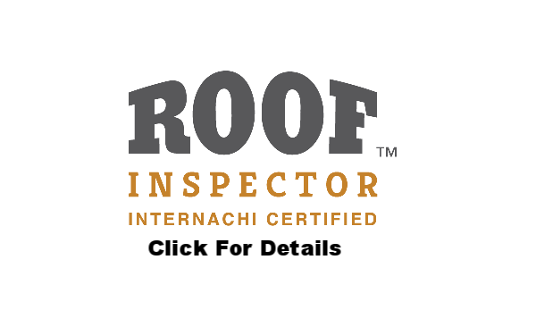 RoofInspector2.png