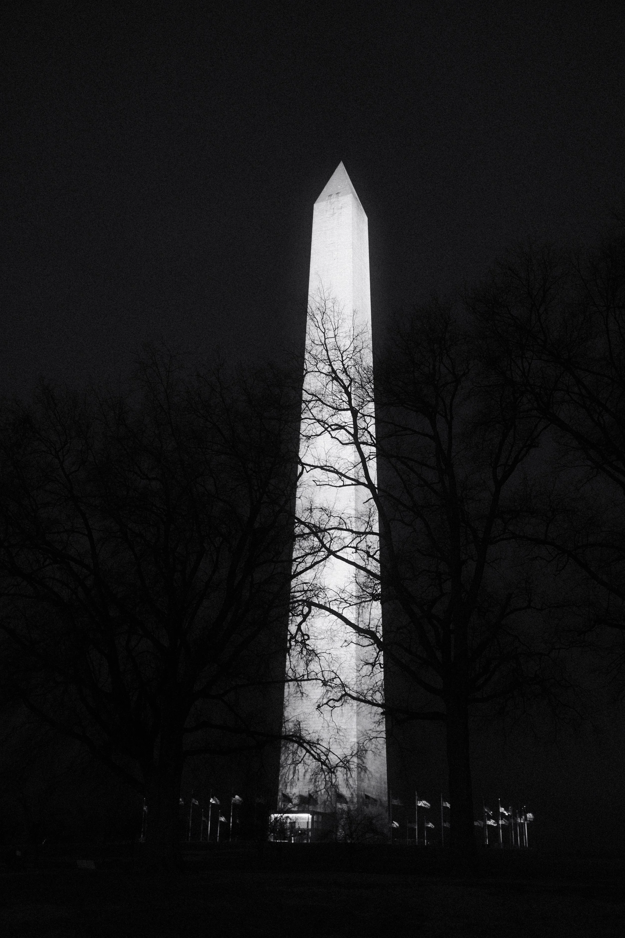 DSCF4046.jpg