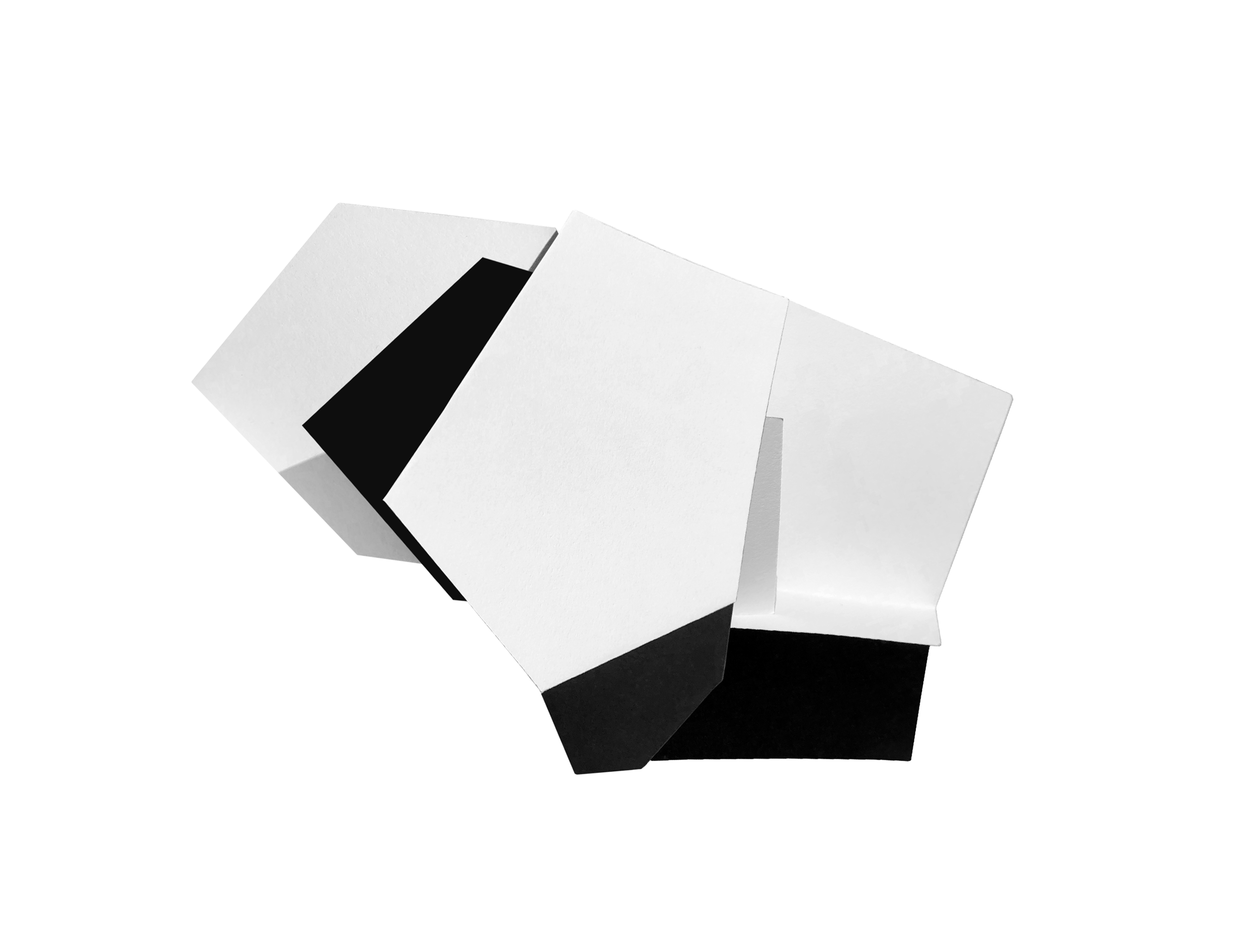 FoldsII-2022-Thumb.png