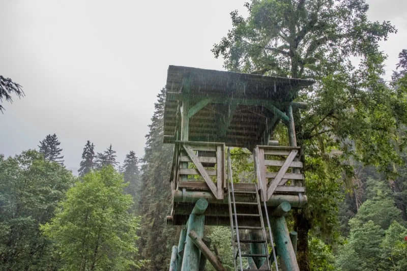 Pack Creek Observation Tower