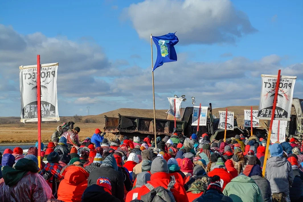 Water protectors engaging in an action