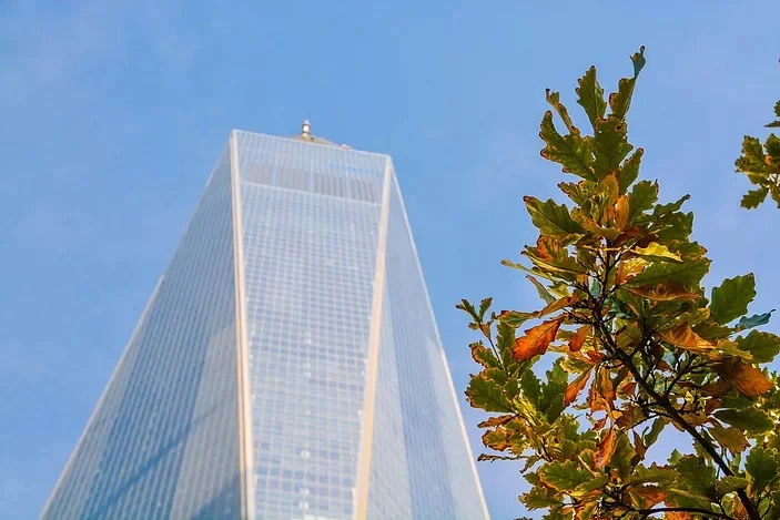 Why I’m Optimistic About a Trump Presidency (and It’s Not Because I’m a Straight White Male)