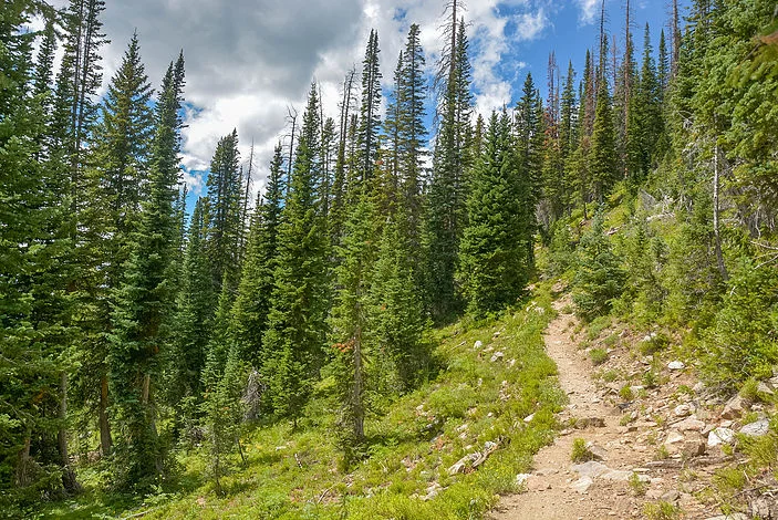hike4.jpg