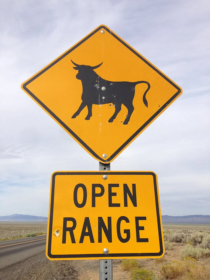 range.jpg