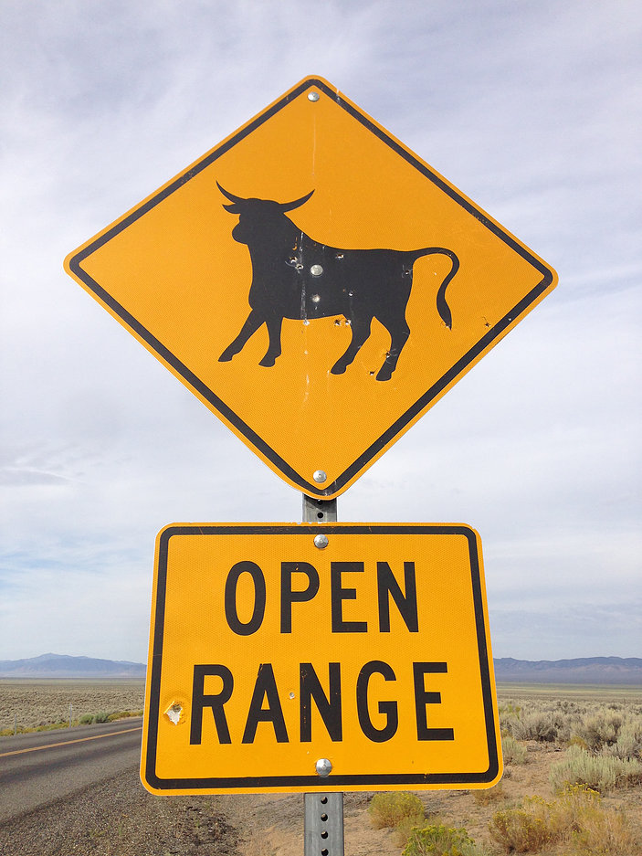 The Open RangeThat's Still A Thing? — Matt Koller