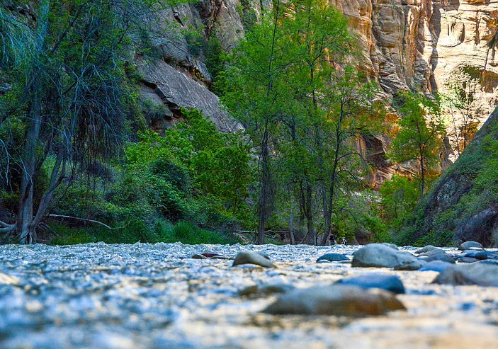 Virgin River, Zion National Park