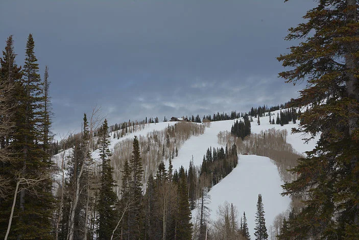 What Does A Peer Mean to You? Making New Friends While Traveling