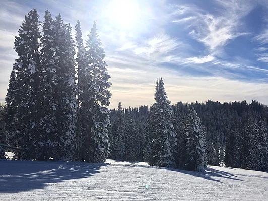 18 Degrees is The New Normal: Learning to Embrace Snow