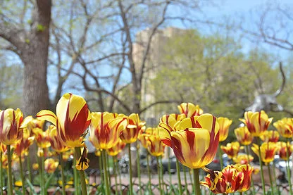 The Perks of Travel: Why I'm Comfortable Being Uncomfortable