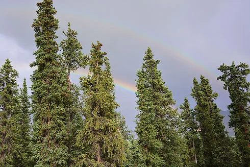 Rainbows!….two of them.