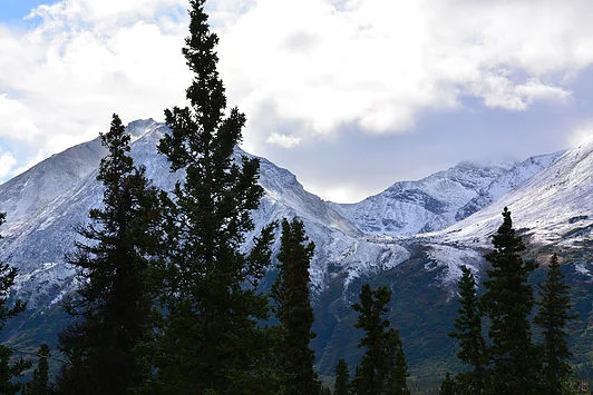 The view from my backyard