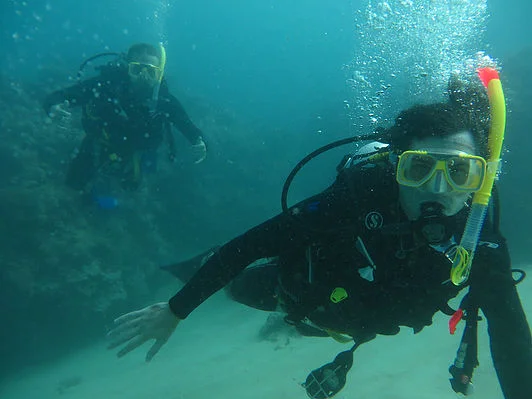 Your correspondent, scuba diving